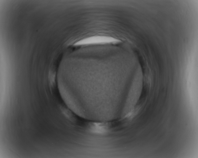 X0000085220188200703301711