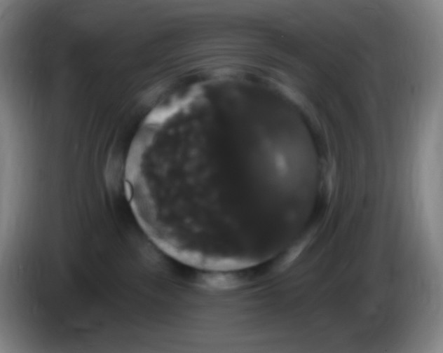 X0000085220189200703301711