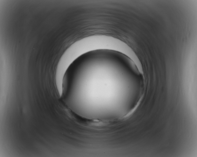 X0000085220190200703301711