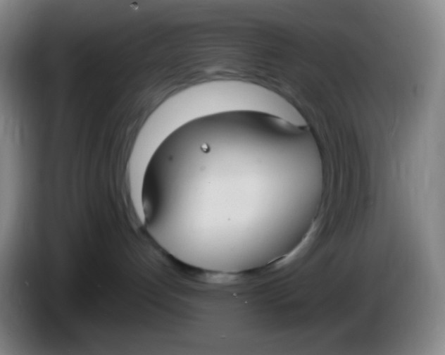 X0000085220192200703301711