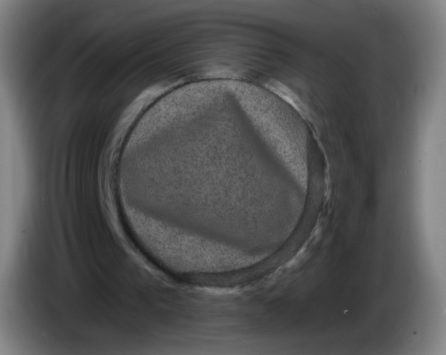 X0000085220193200703301711