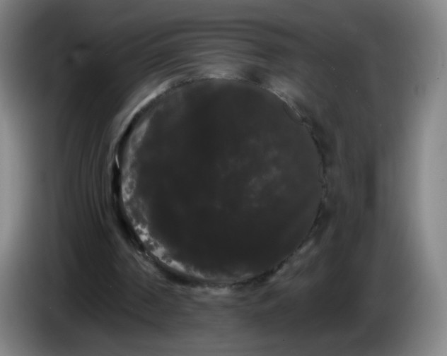 X0000085220194200703301711