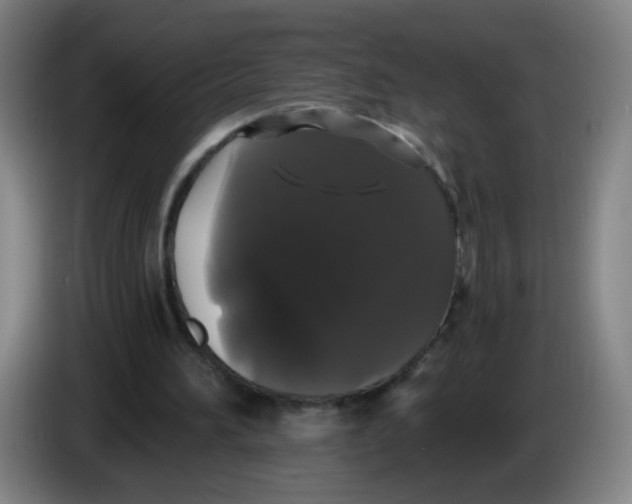 X0000085220196200703301711