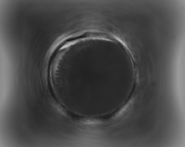 X0000085220199200703301710