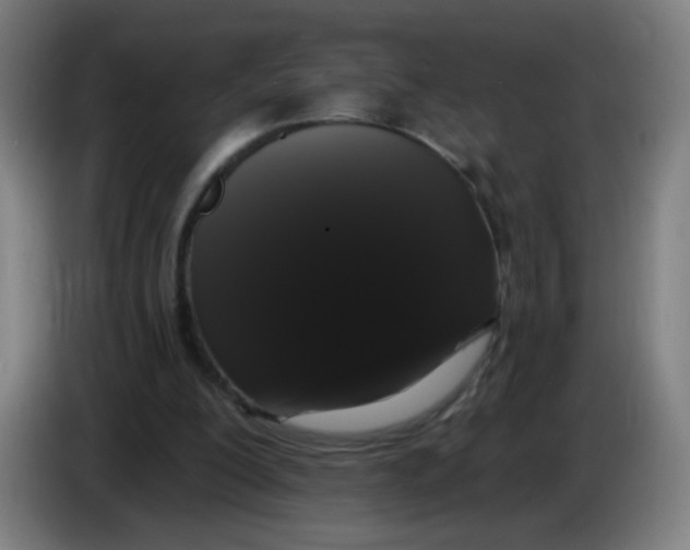 X0000085220200200703301710
