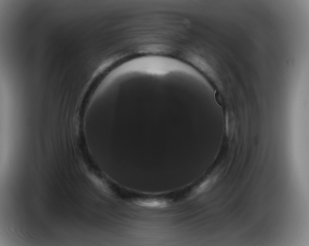 X0000085220204200703301710