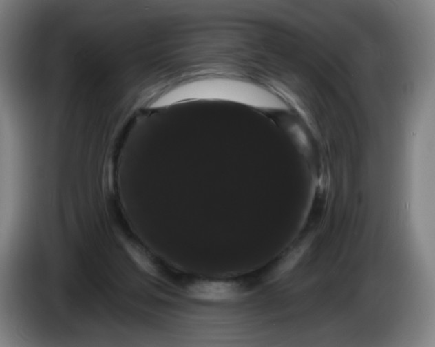 X0000085220205200703301710