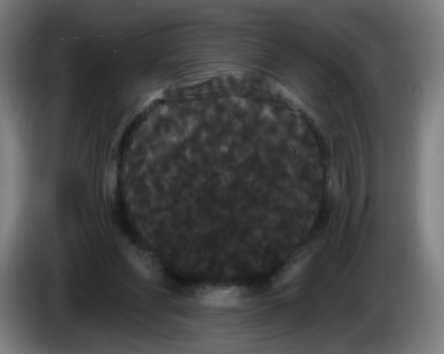 X0000085220206200703301710