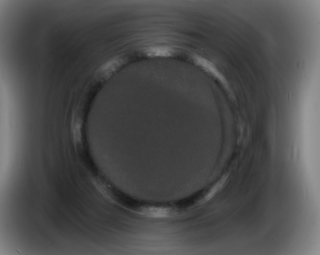 X0000085220209200703301710