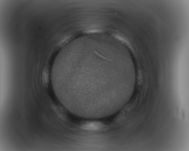 X0000085220210200703301710
