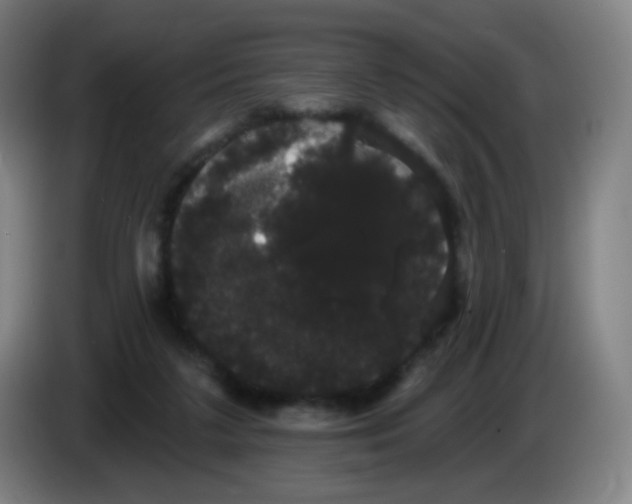 X0000085220211200703301710