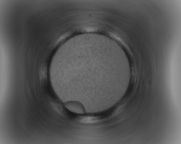 X0000085220212200703301710