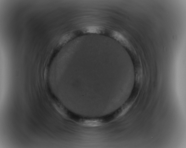 X0000085220213200703301710