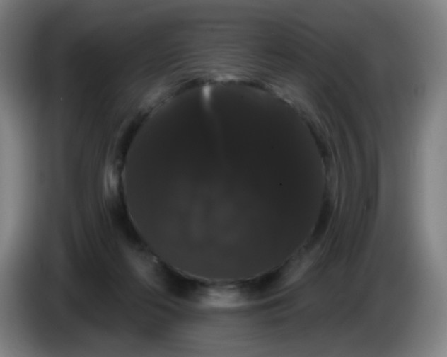 X0000085220214200703301710