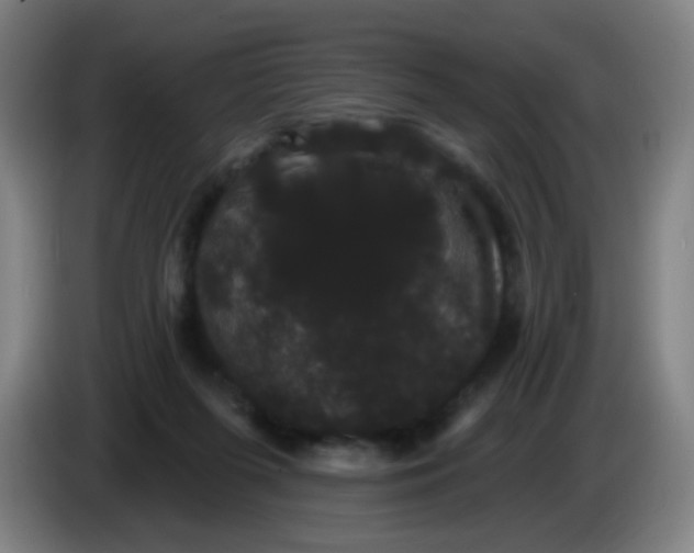 X0000085220215200703301710