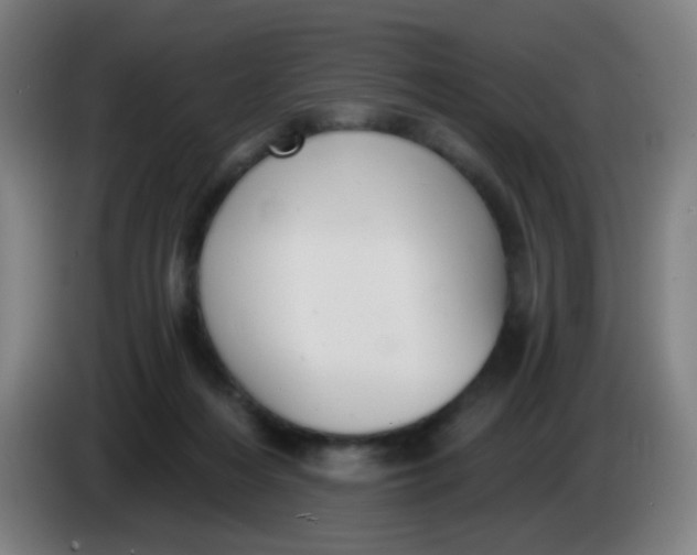 X0000085220216200703301710