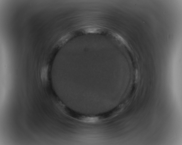 X0000085220217200703301710