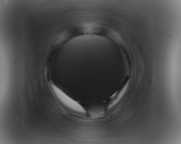 X0000085220219200703301710
