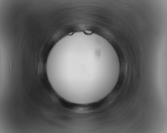X0000085220220200703301710