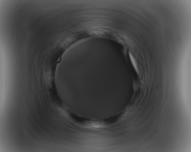 X0000085220223200703301710