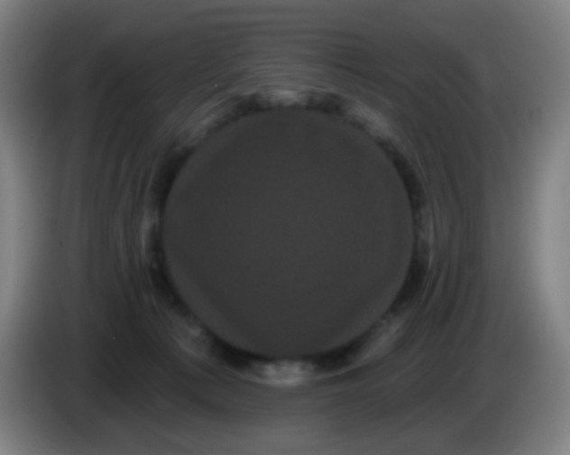 X0000085220225200703301710