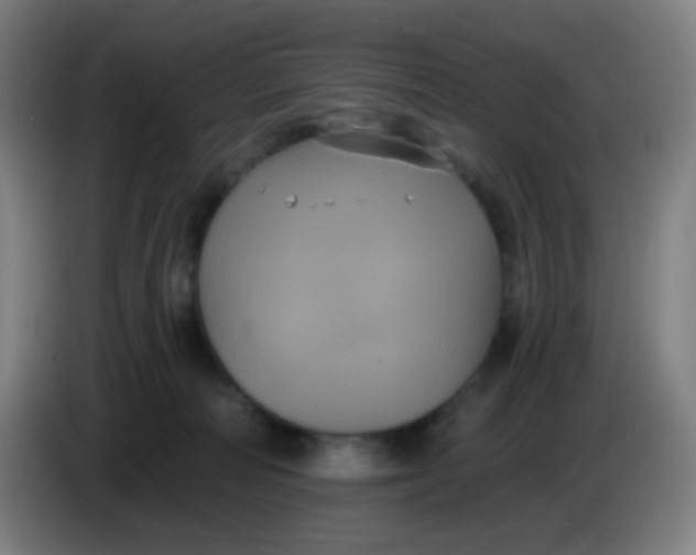 X0000085220226200703301710