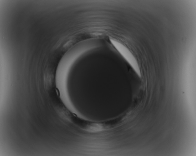 X0000085220227200703301710