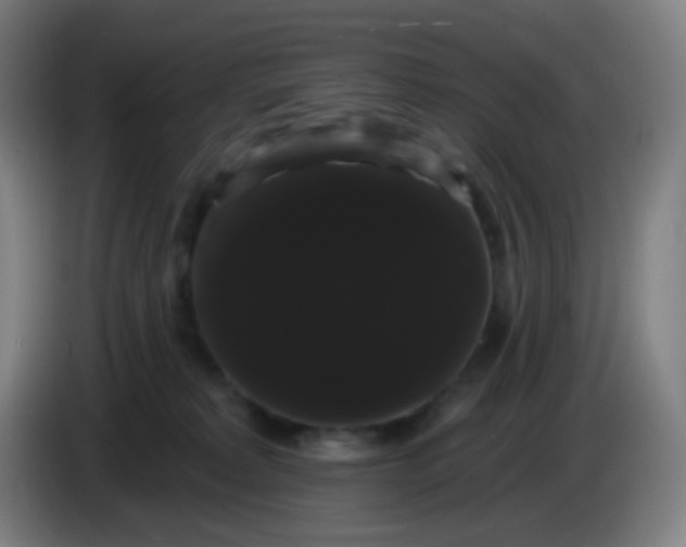 X0000085220229200703301710