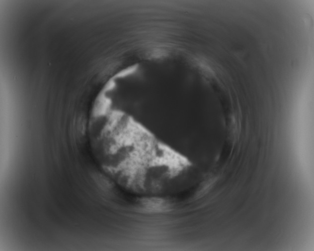 X0000085220230200703301710