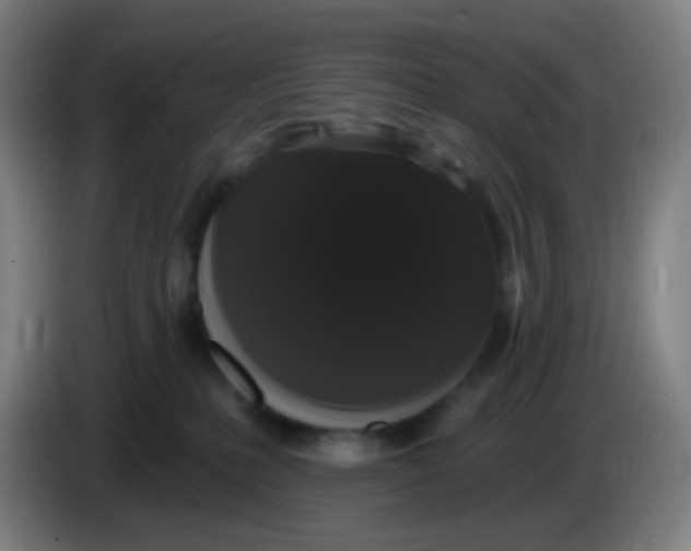 X0000085220231200703301710