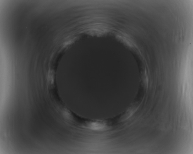 X0000085220232200703301710