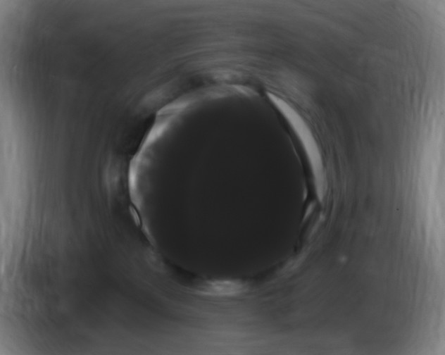 X0000085220233200703301710