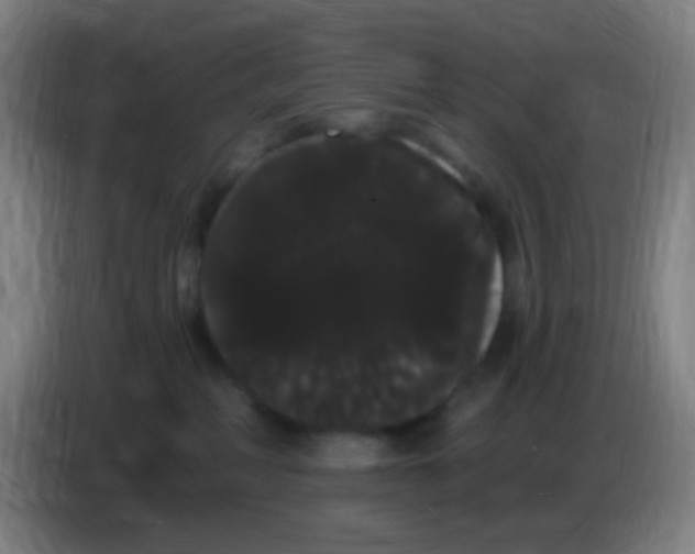 X0000085220234200703301710