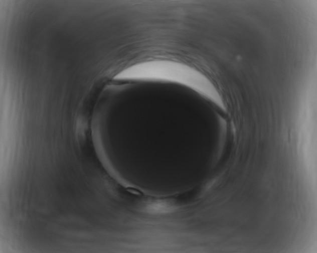 X0000085220235200703301710