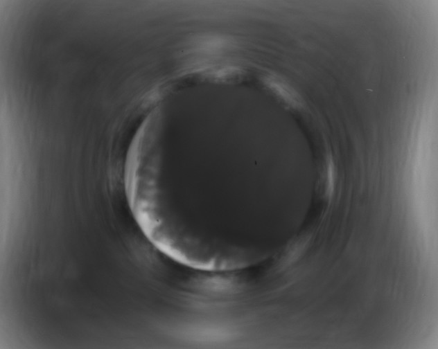 X0000085220236200703301710