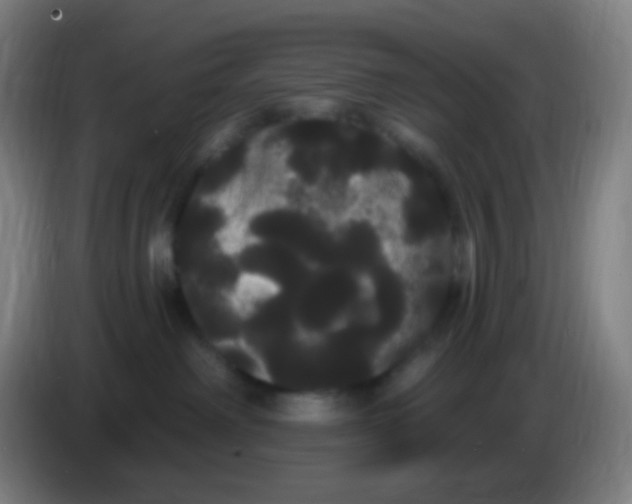 X0000085220238200703301710