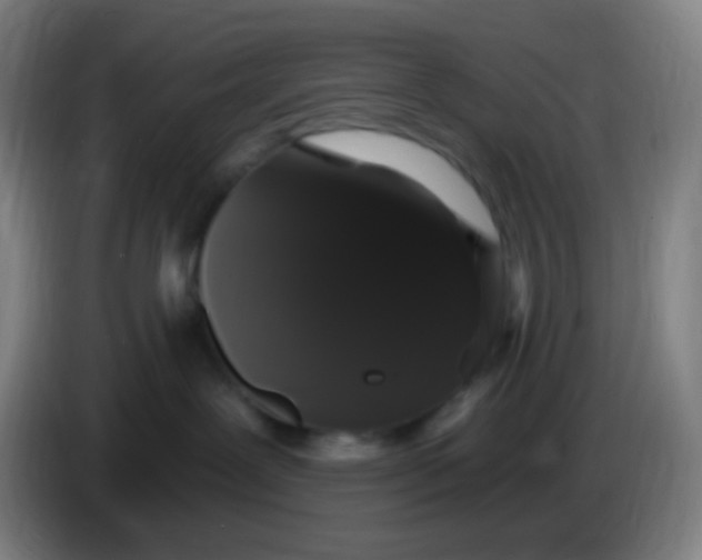 X0000085220239200703301710