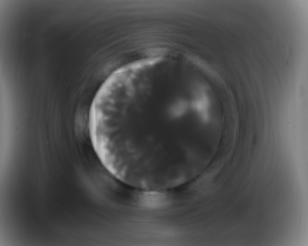 X0000085220240200703301710