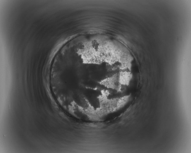 X0000085220241200703301709