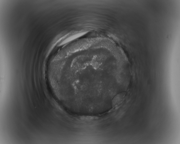 X0000085220242200703301709