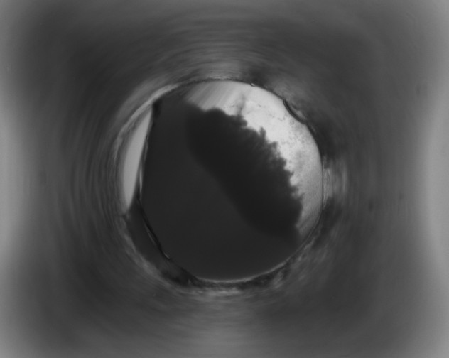 X0000085220243200703301709