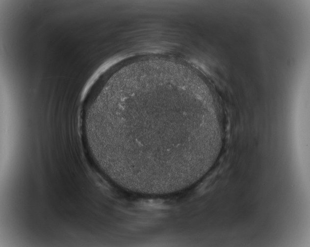 X0000085220244200703301709