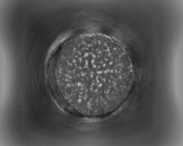 X0000085220245200703301709