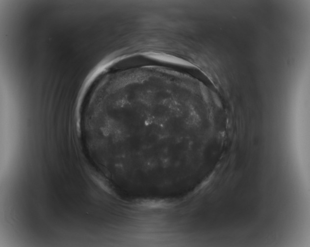 X0000085220246200703301709