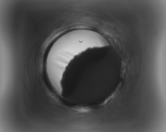 X0000085220247200703301709