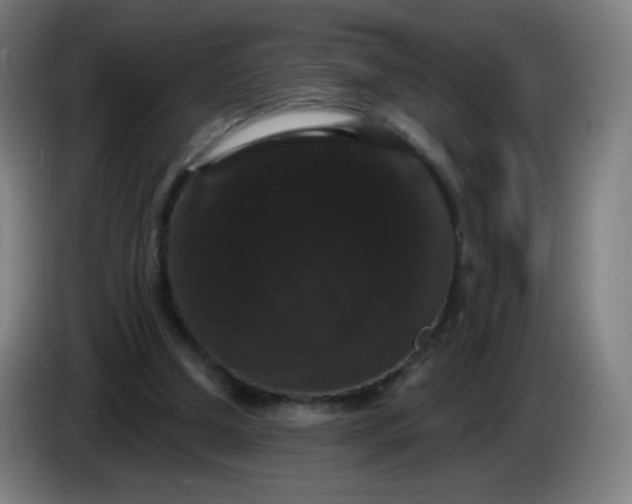 X0000085220250200703301709