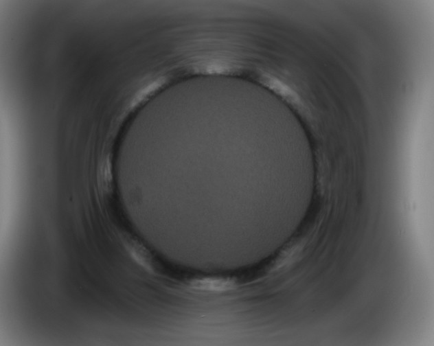 X0000085220251200703301709