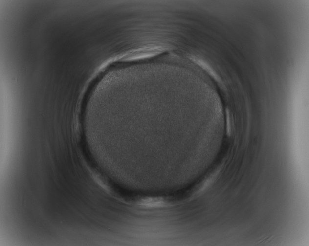 X0000085220252200703301709