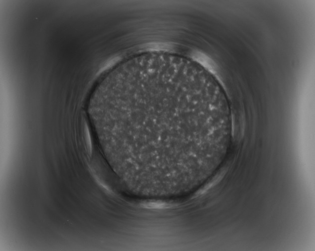 X0000085220253200703301709