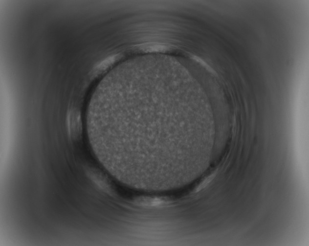 X0000085220254200703301709